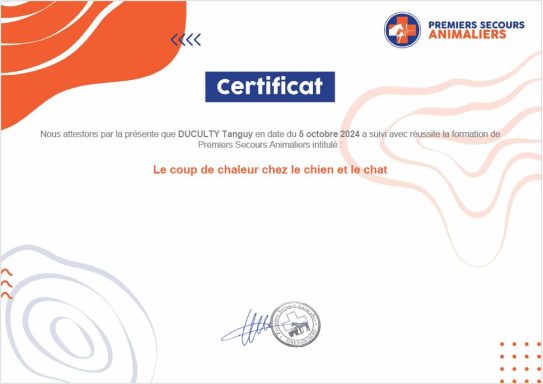 Le coup de chaleur chez le chien et le chat Certificat de participation à la formation de Premiers Secours Animaliers: Le coup de chaleur chez le chien et le chat