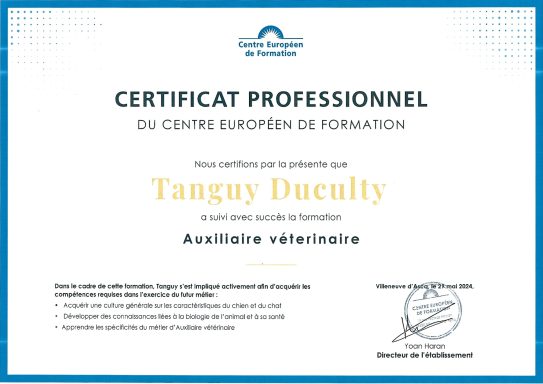 Certificat professionnel d'Auxiliaire vétérinaire Certificat professionnel au nom de Tanguy Duculty pour auxiliaire vétérinaire.